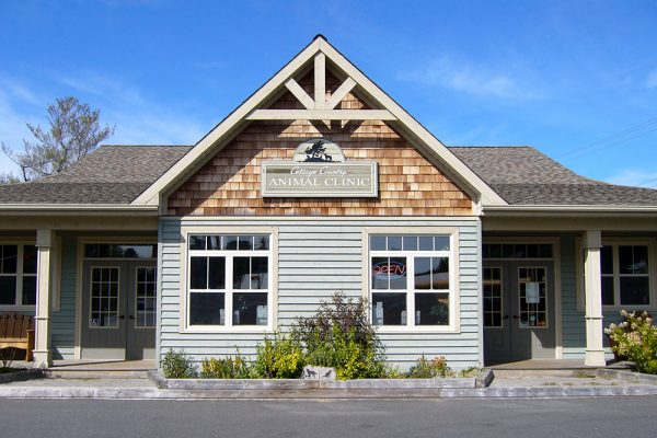 Virtual Tour Cottage Country Animal Clinic