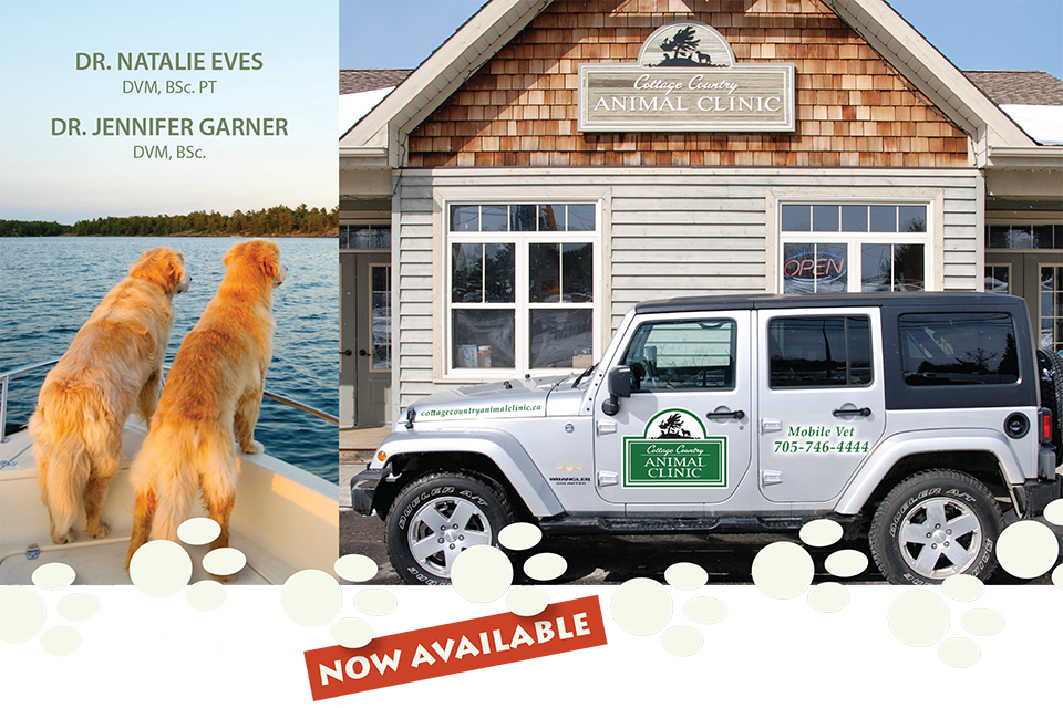 Mobile Veterinary Services – Cottage Country Animal Clinic